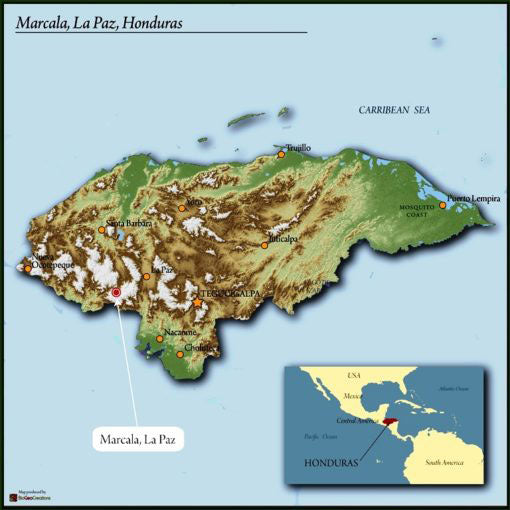 Honduras Royal Gem